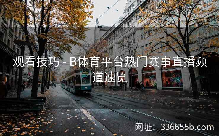 观看技巧 - B体育平台热门赛事直播频道速览