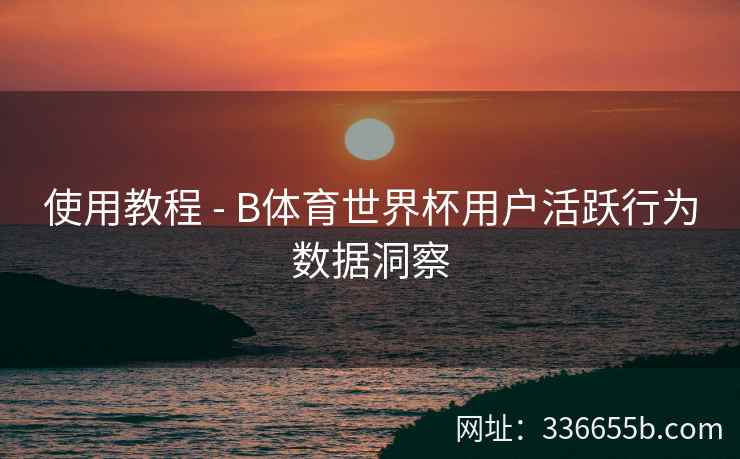 使用教程 - B体育世界杯用户活跃行为数据洞察