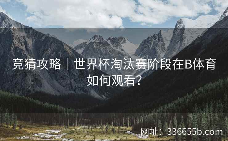 竞猜攻略｜世界杯淘汰赛阶段在B体育如何观看？