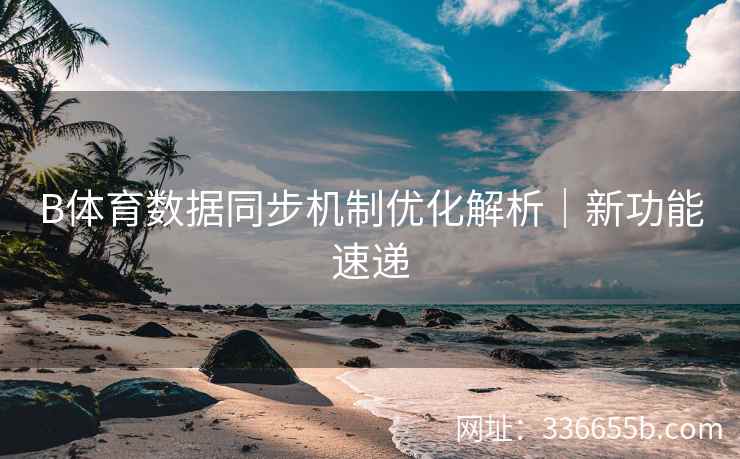 B体育数据同步机制优化解析|新功能速递