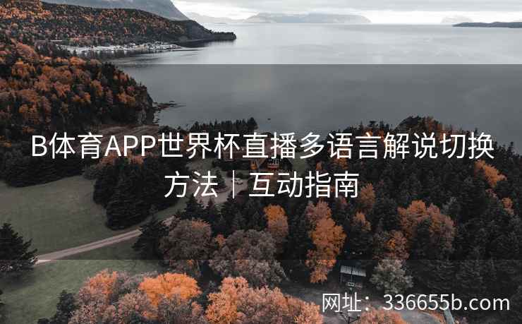 B体育APP世界杯直播多语言解说切换方法|互动指南
