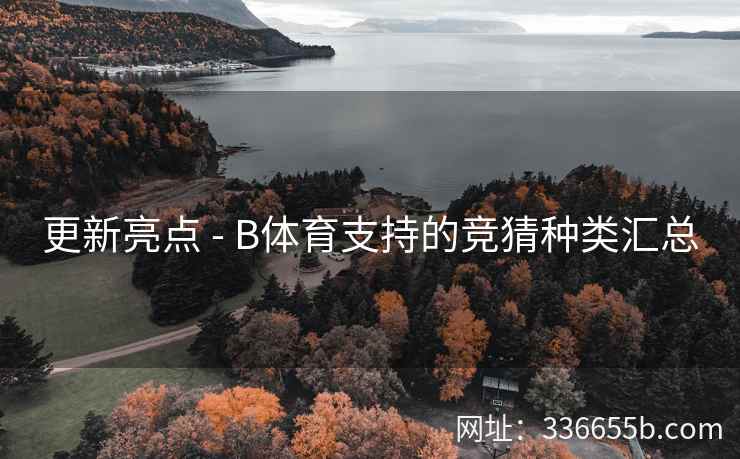 更新亮点 - B体育支持的竞猜种类汇总
